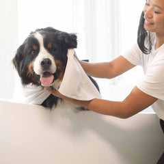 Pet Shampoo - Deodorizing Lavender-16 FL. OZ.