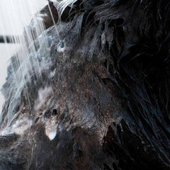 Pet Shampoo - Anti-itching & Deodorizing Lavender-16 FL. OZ.